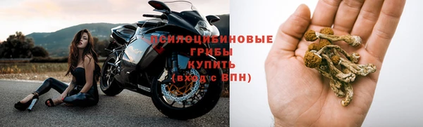 крисы Бронницы