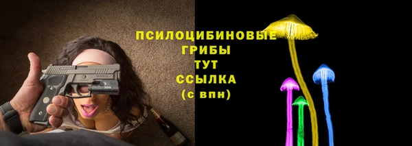 spice Бугульма