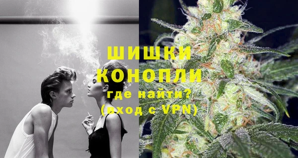 крисы Бронницы