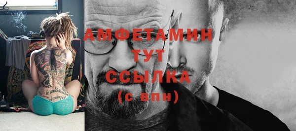 крисы Бронницы