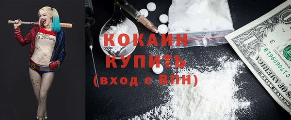 сатива Верея