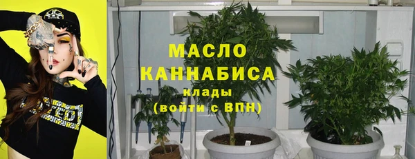 крисы Бронницы