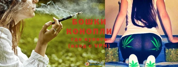 винт Бородино