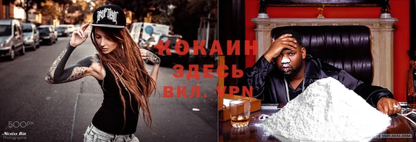 винт Бородино